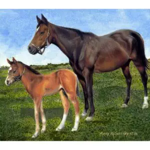 Brown Horse & Foal, Mary McSweeney Artist