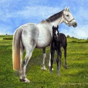 White Horse & Foal, Mary McSweeney Artist